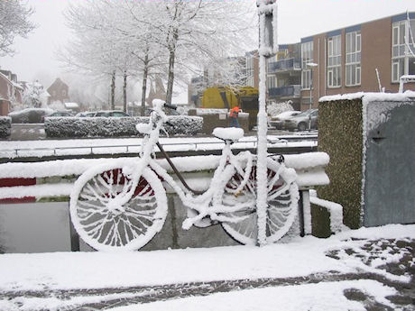 Klik voor grotere afbeelding