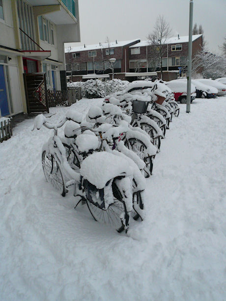 Klik voor grotere afbeelding