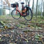 Heb jij ook een tak op je hoofd gehad door die harde wind? Ik... on Twitpic