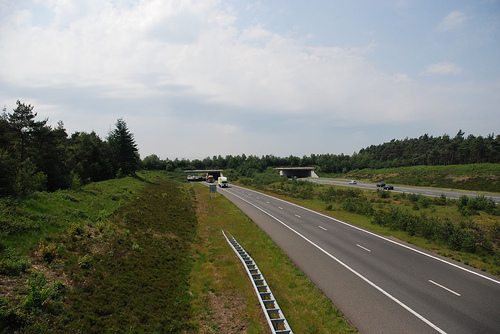 Ecoduct op de A1