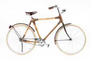 Blackstar bamboo
