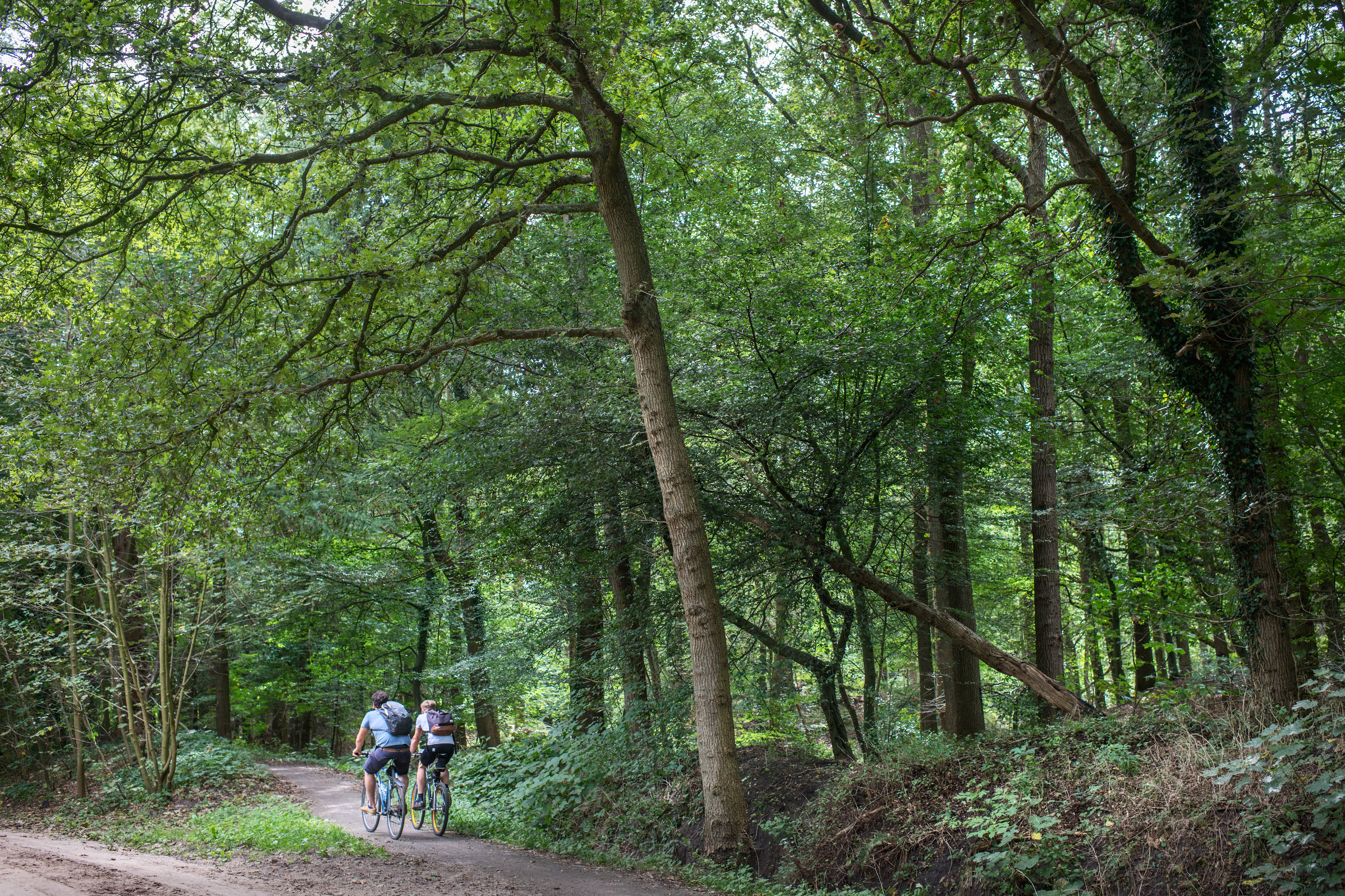 Fietsers in Noordlaarderbos.