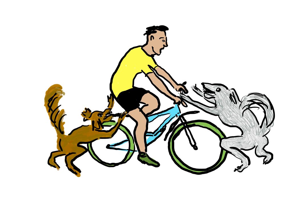 Honden vallen fietser aan
