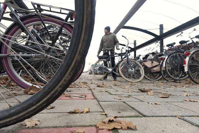 fietsendief