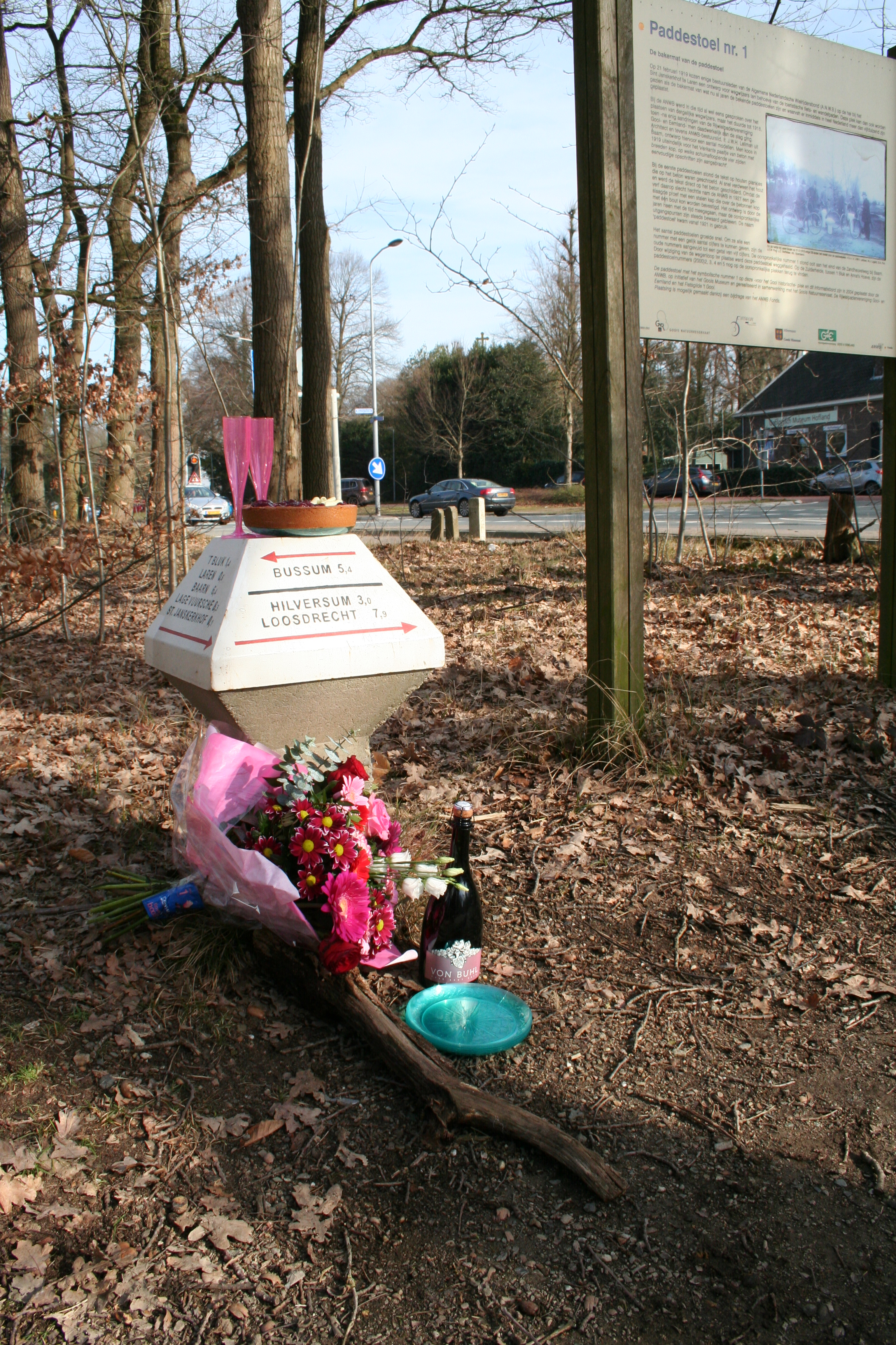 paddenstoel laren