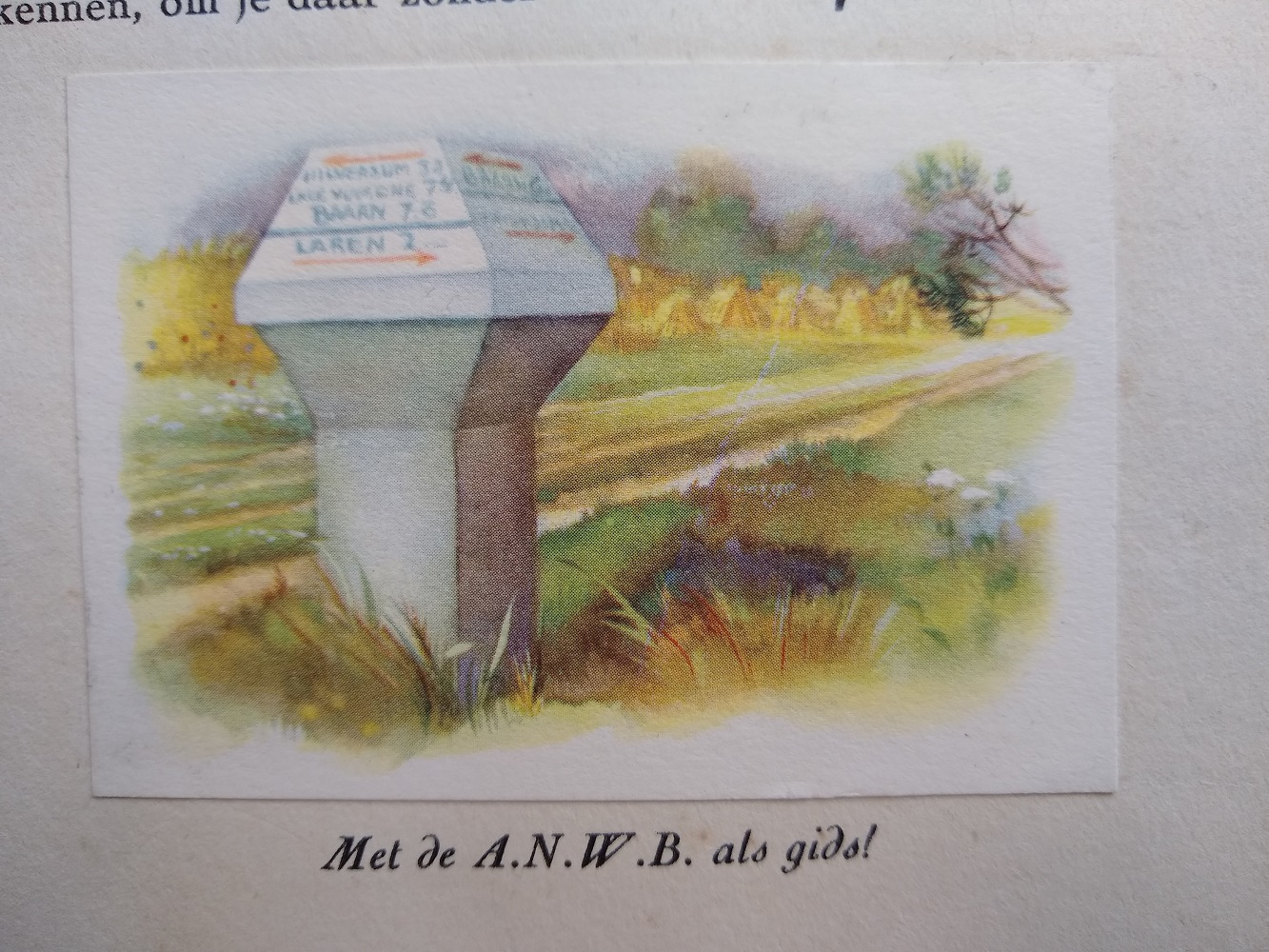 paddenstoel, met tent en rugzak