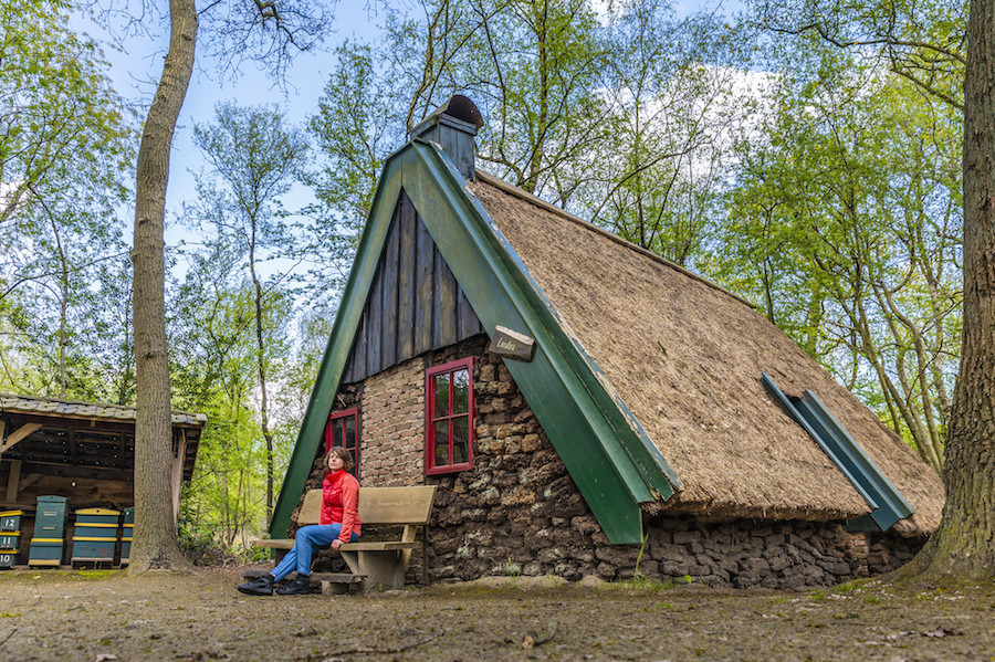 Plaggenhut in Veenpark