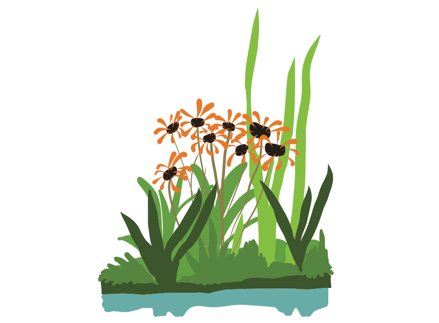 Drijfoever met bloemen en grassen