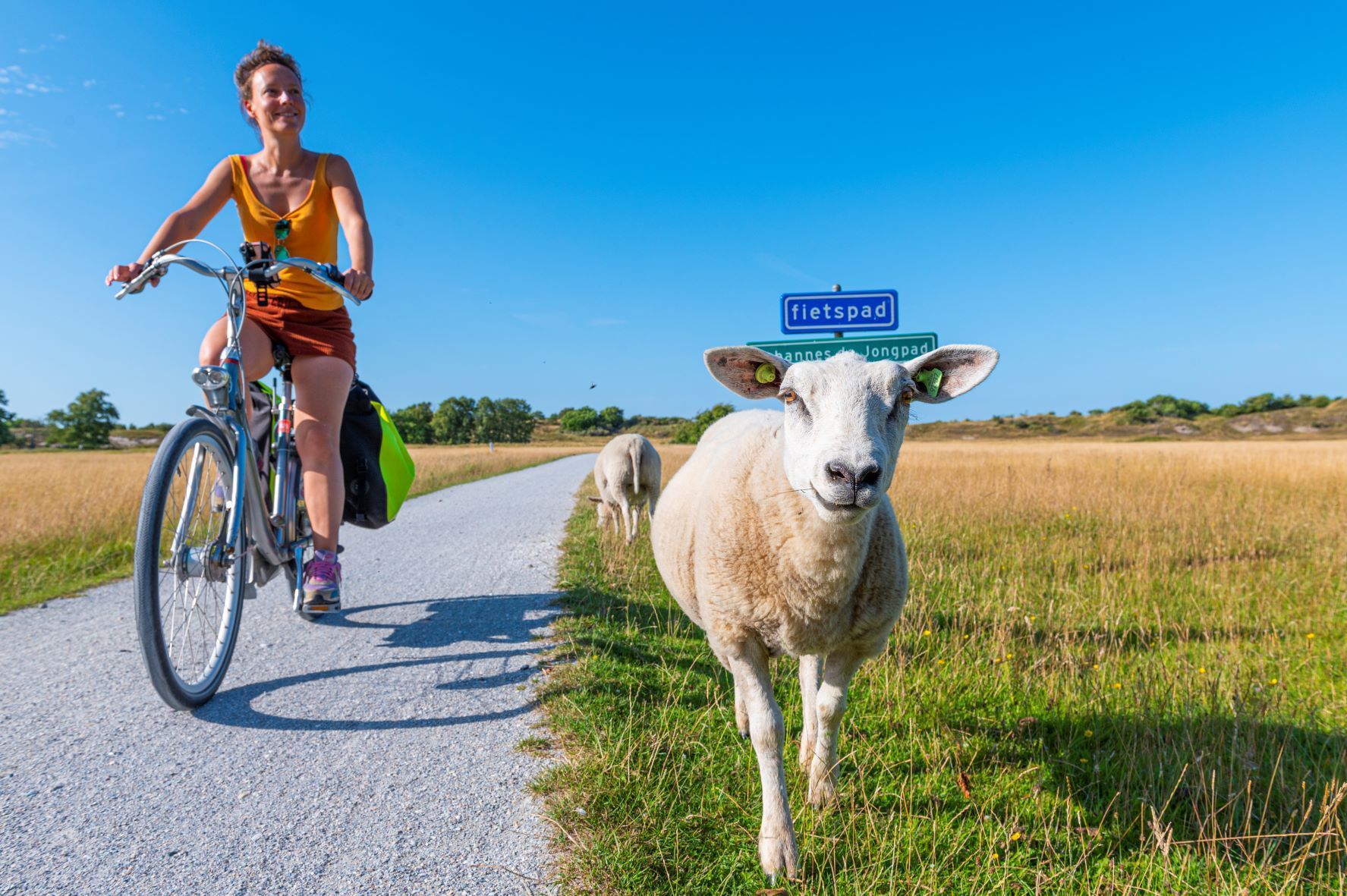 Fietser met gelukkig schaap