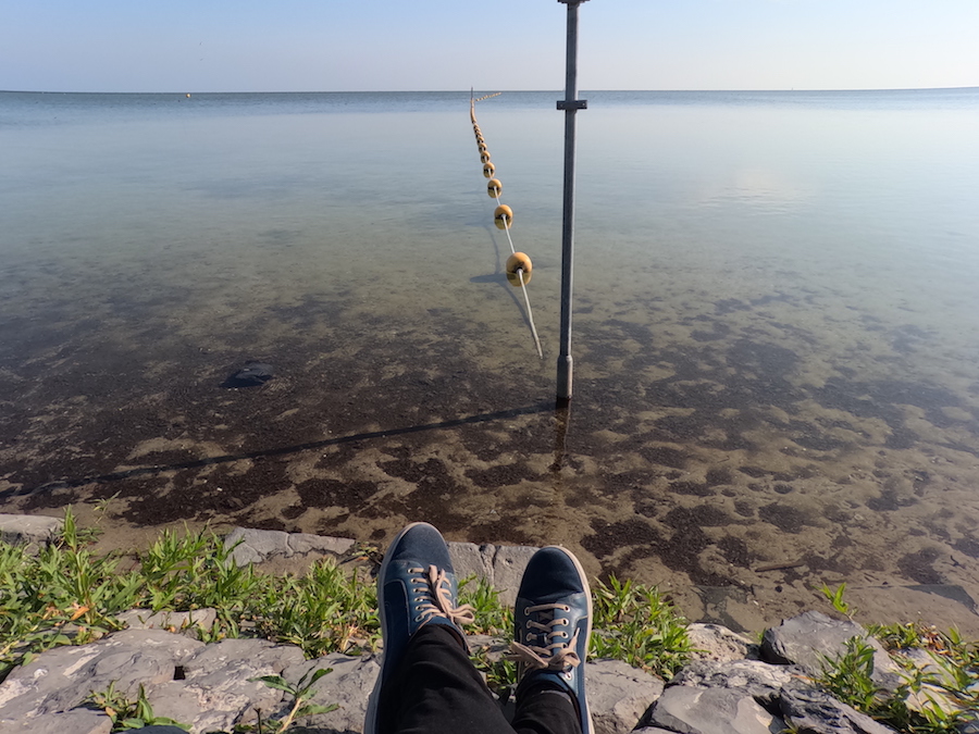 Uitkijken over het IJsselmeer