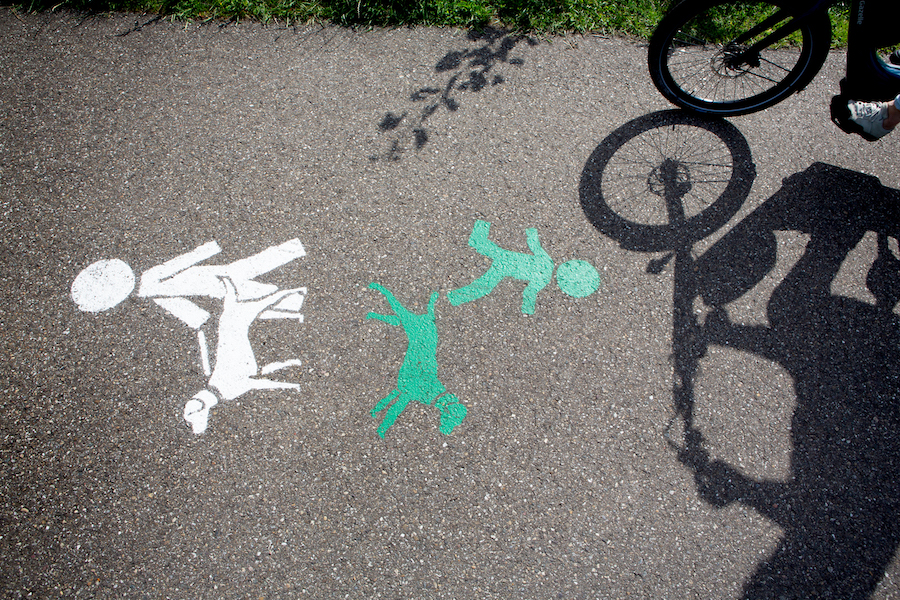 Fietser nadert symbolen op het fietspad met groen symbool voor hond los en wit symbool voor aangelijnde hond