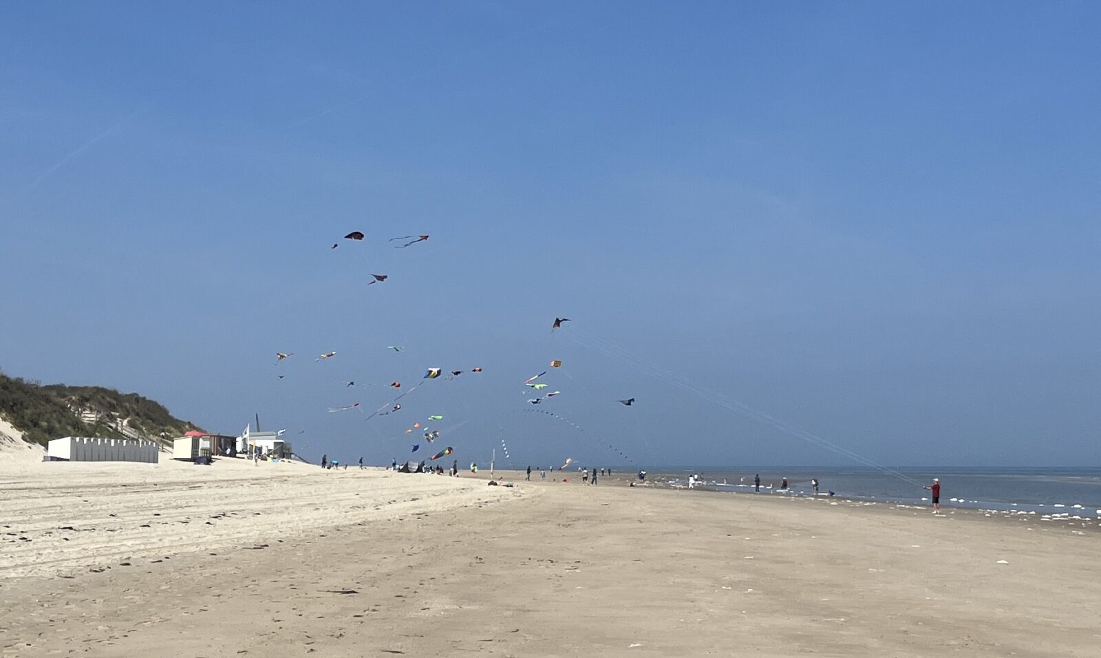 Tientallen gekleurede vliegers worden opgelaten boven het strand.