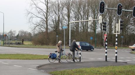 Groene Zoom