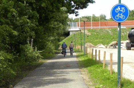 Dorresteinse weg