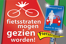 Ontwerp fietsstraat markering Zwolle