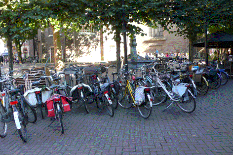 Foto: overvolle stallingen kop Luttestraat
