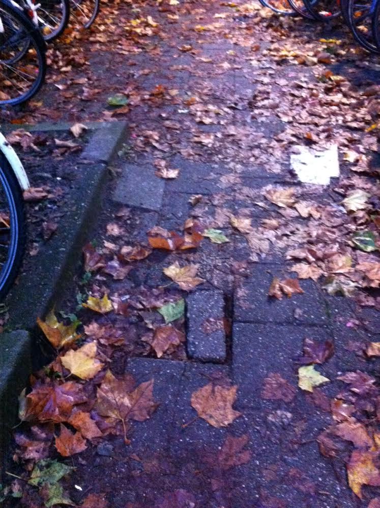 Foto: bestrating fietsenstalling Westerlaan in de herfst