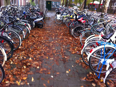 Foto: fietsenstalling Westerlaan in de herfst