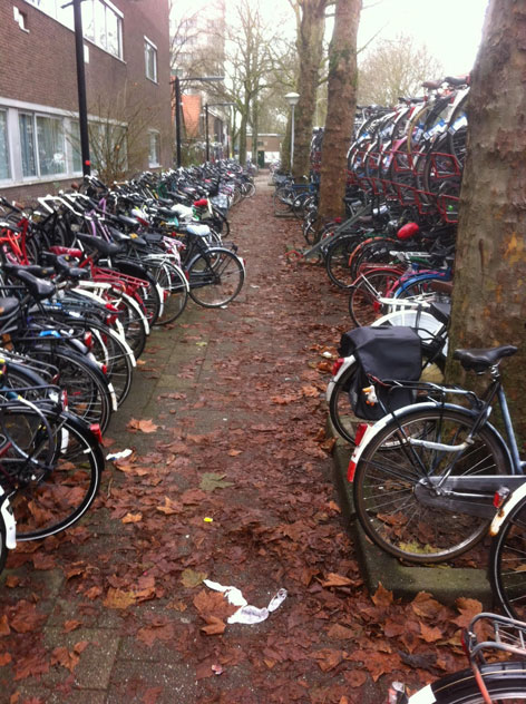 Foto: fietsenstalling Westerlaan